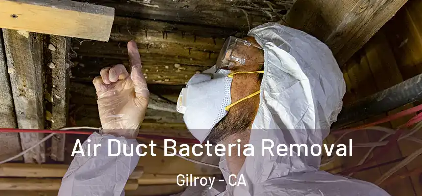  Air Duct Bacteria Removal Gilroy - CA