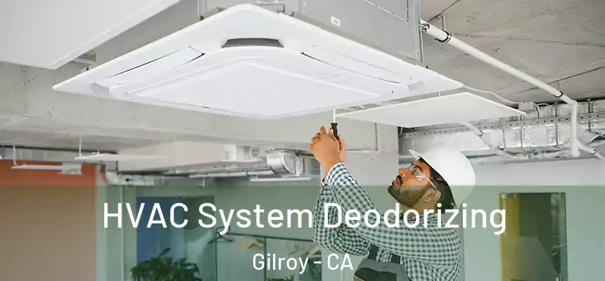  HVAC System Deodorizing Gilroy - CA