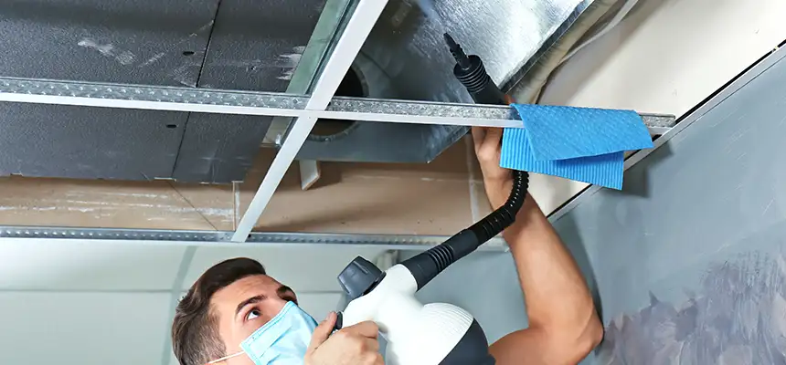 Our Air Duct Rodent Removal Services in Gilroy, CA