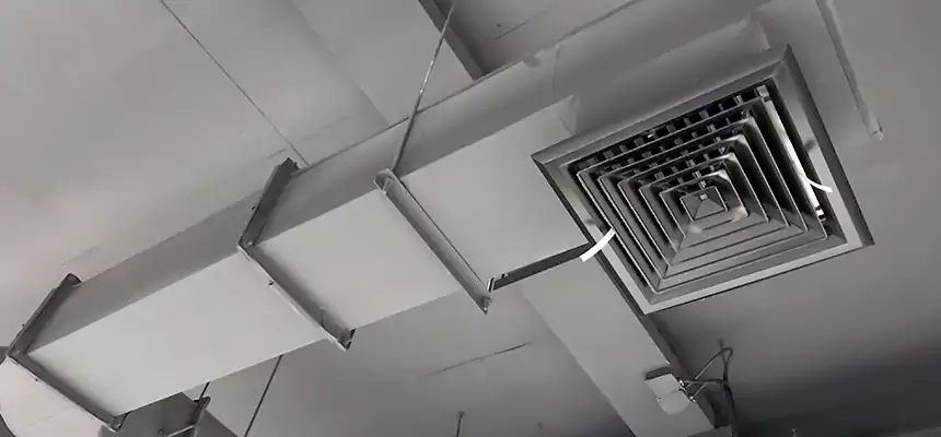 Our Pest Removal From Ducts Services in Gilroy, CA