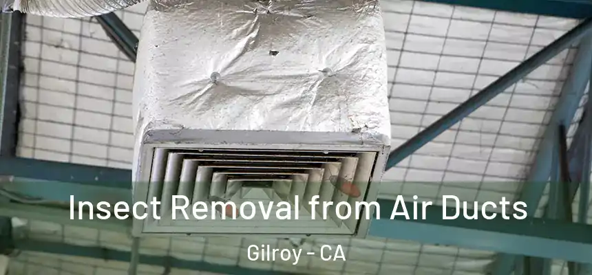 Insect Removal from Air Ducts Gilroy - CA