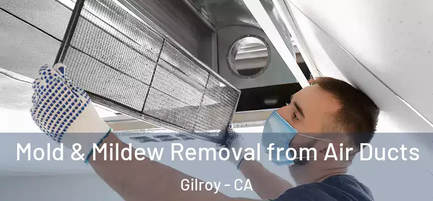  Mold & Mildew Removal from Air Ducts Gilroy - CA