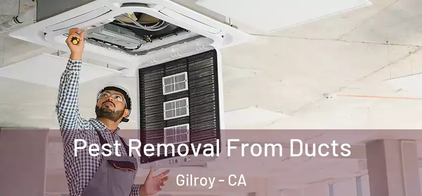  Pest Removal From Ducts Gilroy - CA