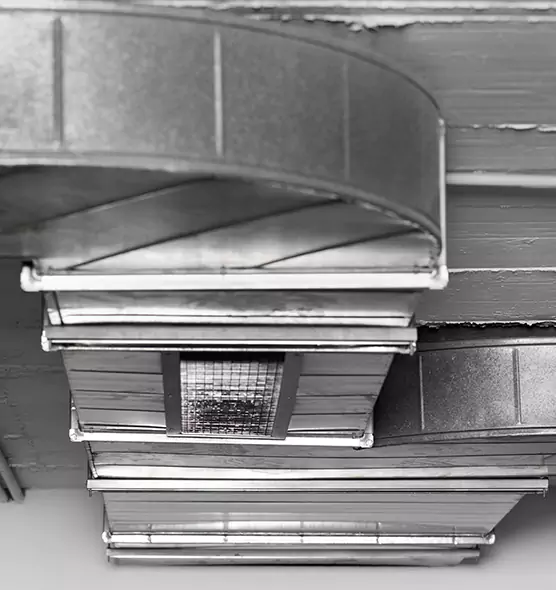 Professional Air Duct Pet Hair Removal in Gilroy, CA