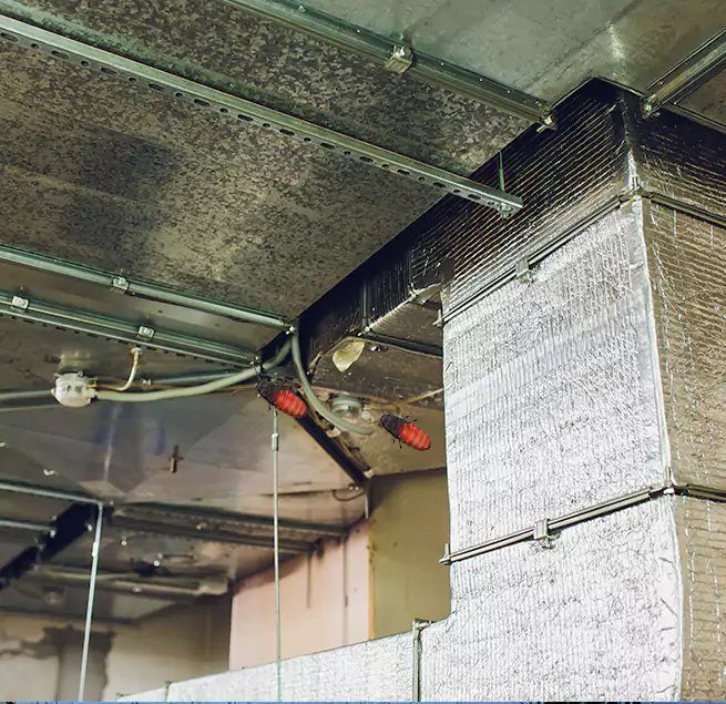 Why Homeowners & Businesses Trust Us in Gilroy, CA?