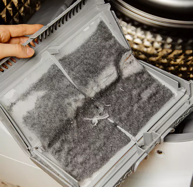 Why Homeowners & Businesses Trust Us Gilroy, CA?