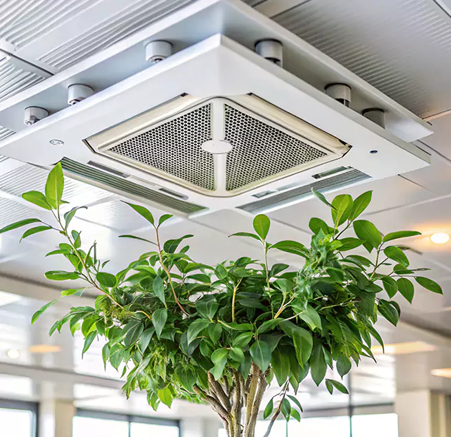 Why Homeowners & Businesses Trust Us in Gilroy, CA?