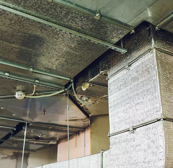 Why Homeowners & Businesses Trust Us in Gilroy, CA?